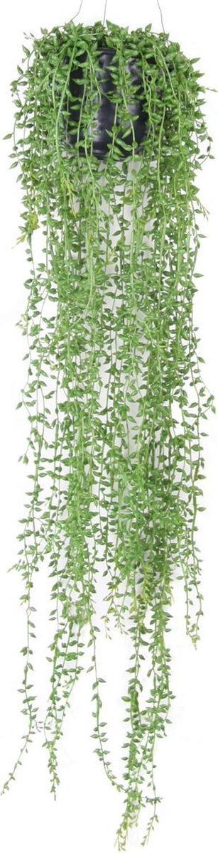 https://cdn.warentuin.nl/media/catalog/product/S/C/SCAN8714344022018_de_driesprong_hangplant_zijdeplant_hangplant_met_pot_senecio_ea95.jpeg