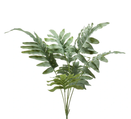 https://cdn.warentuin.nl/media/catalog/product/S/C/SCAN8714344068467_kunst_phlebodium_bush_grey_green_67_cm_buitengewoon_de_boet_1f54.png
