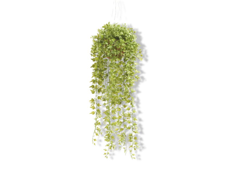 https://cdn.warentuin.nl/media/catalog/product/S/C/SCAN8714344088885_01_driesprong_collection_zijdeplant_hangplant_m_b2eb.jpg