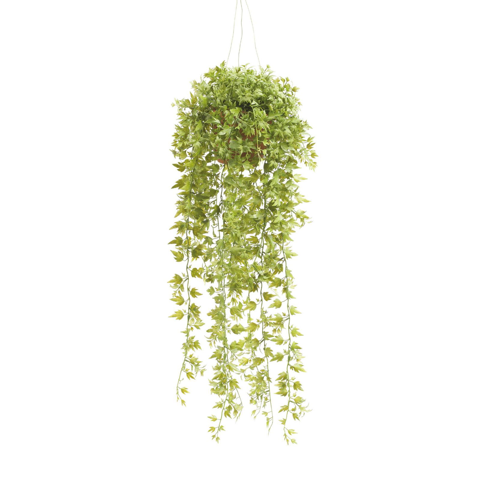 Hangplant met pot 6 Driesprong Collection