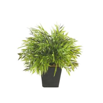 https://cdn.warentuin.nl/media/catalog/product/S/C/SCAN8714344131277_emerald_eternal_green_b_v_bamboe_plant_25_cm_in_zinken_pot_f37e.jpg