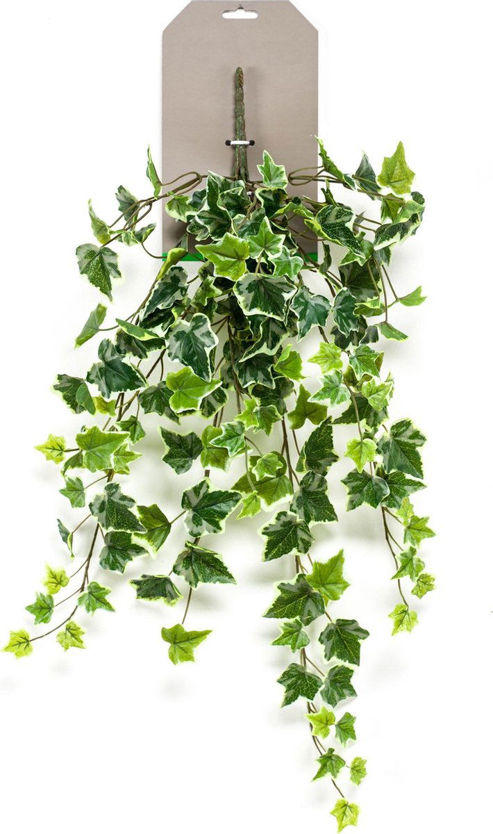 https://cdn.warentuin.nl/media/catalog/product/S/C/SCAN8714344202601_zijde_droog_en_hobbymaterialen_ivy_hanging_bush_0642.jpg