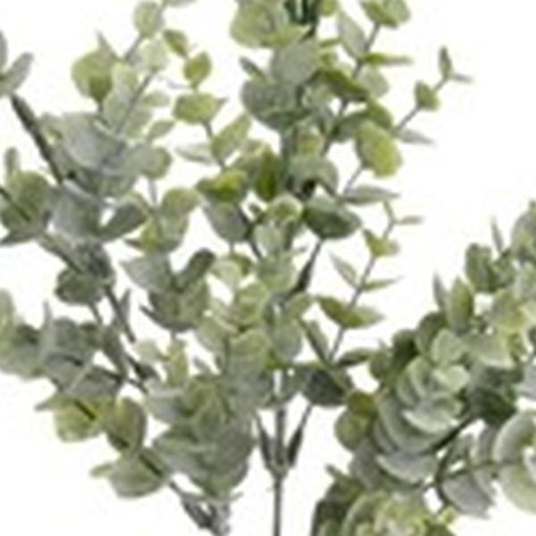 https://cdn.warentuin.nl/media/catalog/product/S/C/SCAN8714344202762_01_emerald_eternal_green_b_v_eucalyptus_bridge_spray_x3_68_cm_1620.jpg