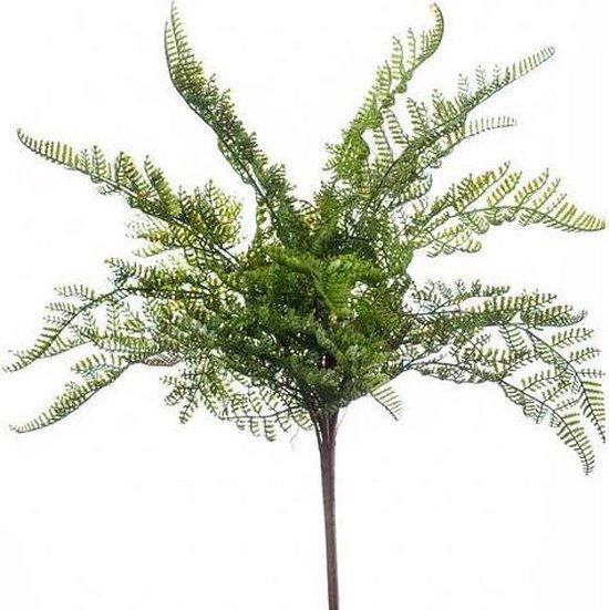 https://cdn.warentuin.nl/media/catalog/product/S/C/SCAN8714344252200_emerald_zijde_planten_fern_forest_bush_40_cm_gr_837a.jpg