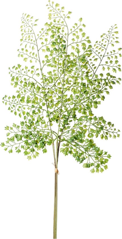 Emerald Adianthum spray bundle x3 58 cm green  - 