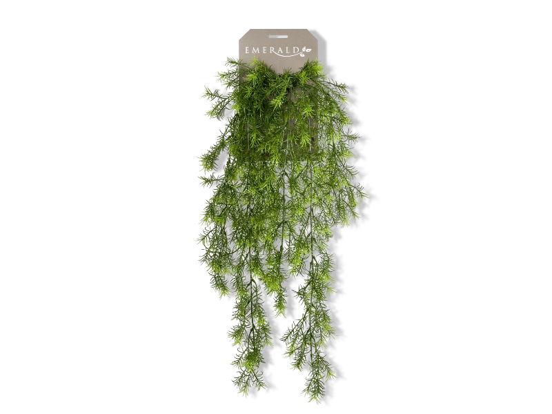 https://cdn.warentuin.nl/media/catalog/product/S/C/SCAN8714344257236_01_emerald_kunstplant_asparagus_hanging_bush_75_6185.jpg