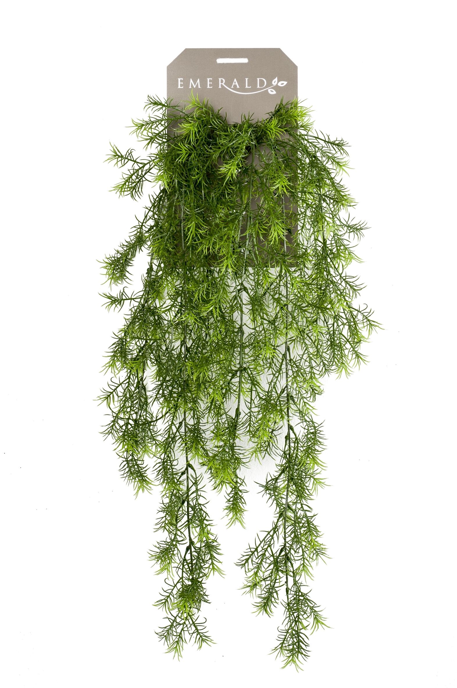 https://cdn.warentuin.nl/media/catalog/product/S/C/SCAN8714344257236_de_driesprong_hangplant_zijdeplant_hangplant_op_steker_aspara_d30e.jpeg