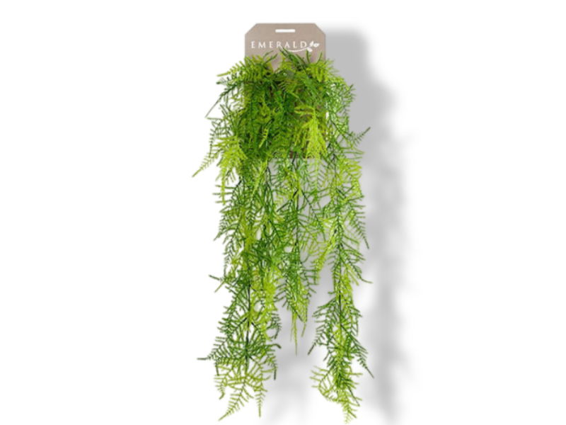 https://cdn.warentuin.nl/media/catalog/product/S/C/SCAN8714344257243_01_buitengewoon_de_boet_emerald_asparagus_plumo_a13c.jpg