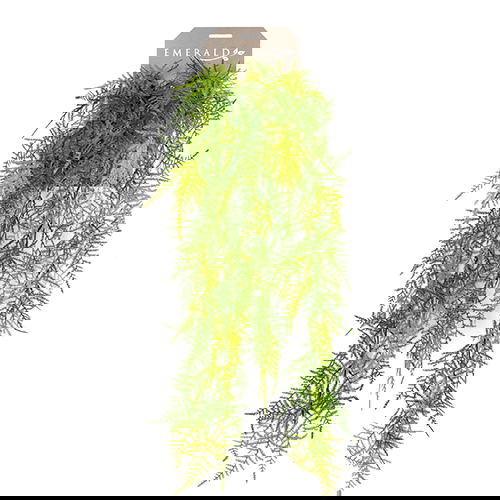 https://cdn.warentuin.nl/media/catalog/product/S/C/SCAN8714344257243_buitengewoon_boet_kunstplant_emerald_asparagus_plumosus_hangi_a5bf.jpg