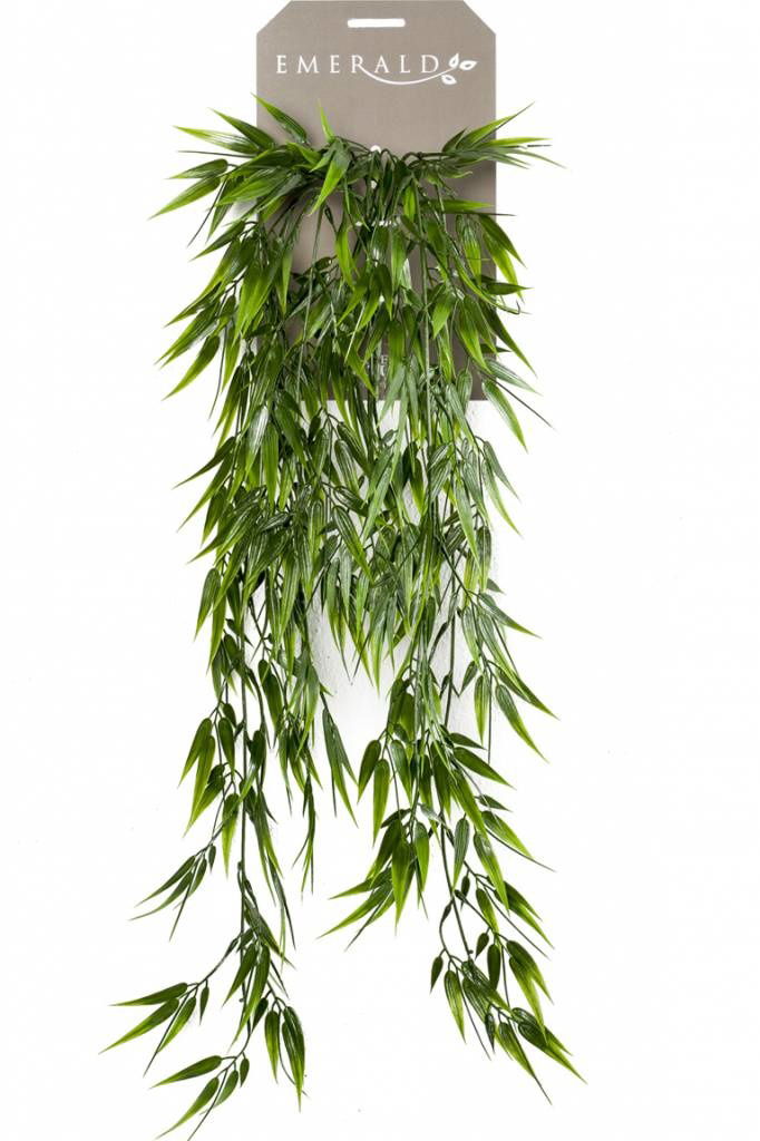 https://cdn.warentuin.nl/media/catalog/product/S/C/SCAN8714344257250_de_driesprong_hangplant_zijdeplant_hangplant_op_steker_bamboe_1821.jpeg