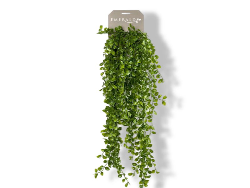 https://cdn.warentuin.nl/media/catalog/product/S/C/SCAN8714344257267_01_driesprong_collection_zijdeplant_hangplant_o_cbc1.jpg