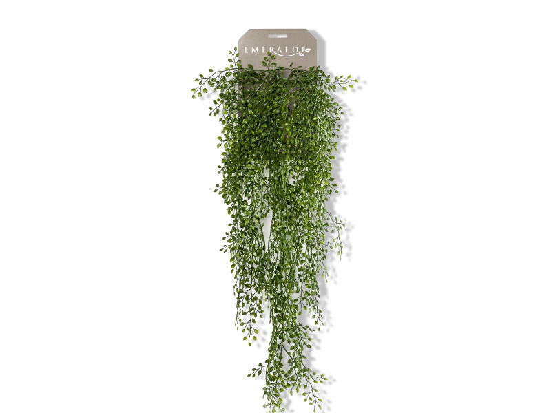 https://cdn.warentuin.nl/media/catalog/product/S/C/SCAN8714344257274_01_driesprong_collection_zijdeplant_hangplant_o_f7da.jpg