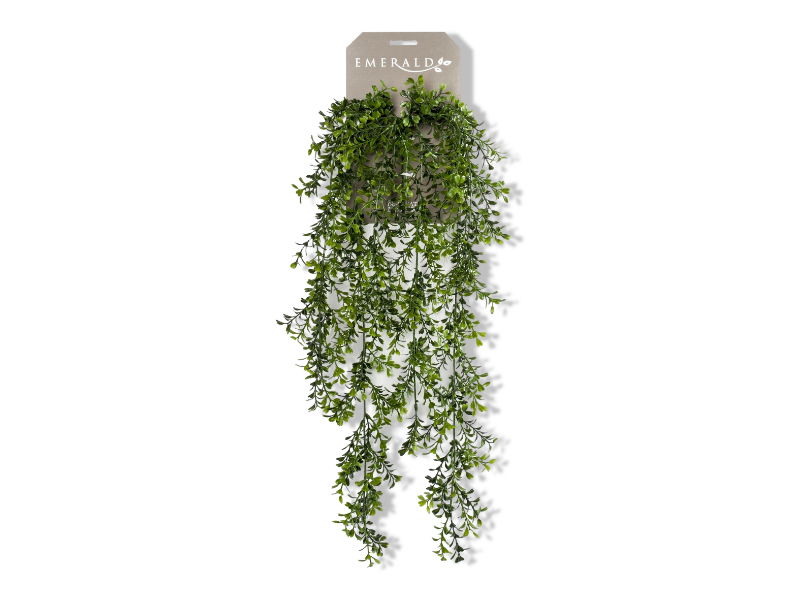 https://cdn.warentuin.nl/media/catalog/product/S/C/SCAN8714344257298_01_driesprong_collection_zijdeplant_hangplant_o_44fb.jpg