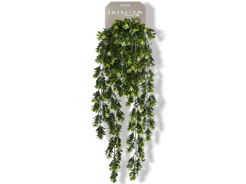 https://cdn.warentuin.nl/media/catalog/product/S/C/SCAN8714344257328_01_driesprong_collection_zijdeplant_hangplant_o_66e4.jpg
