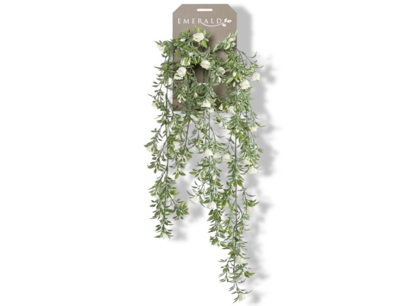 https://cdn.warentuin.nl/media/catalog/product/S/C/SCAN8714344257335_01_driesprong_collection_zijdeplant_hangplant_o_0667.jpg
