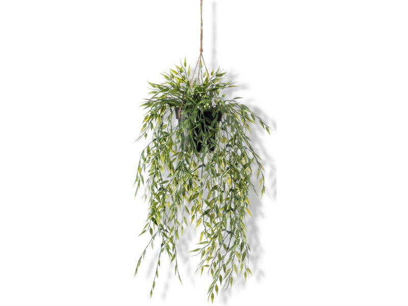 https://cdn.warentuin.nl/media/catalog/product/S/C/SCAN8714344264876_01_driesprong_collection_zijdeplant_hangplant_m_02d3.jpg