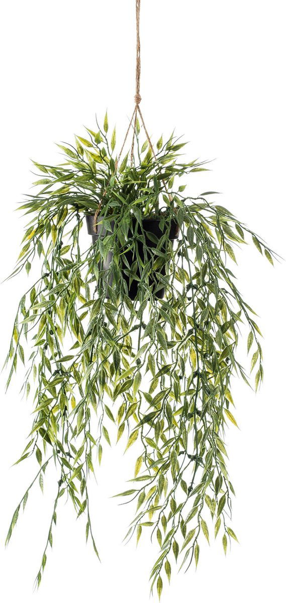 https://cdn.warentuin.nl/media/catalog/product/S/C/SCAN8714344264876_de_driesprong_hangplant_zijdeplant_hangplant_met_pot_bamboe_3ab8.jpeg