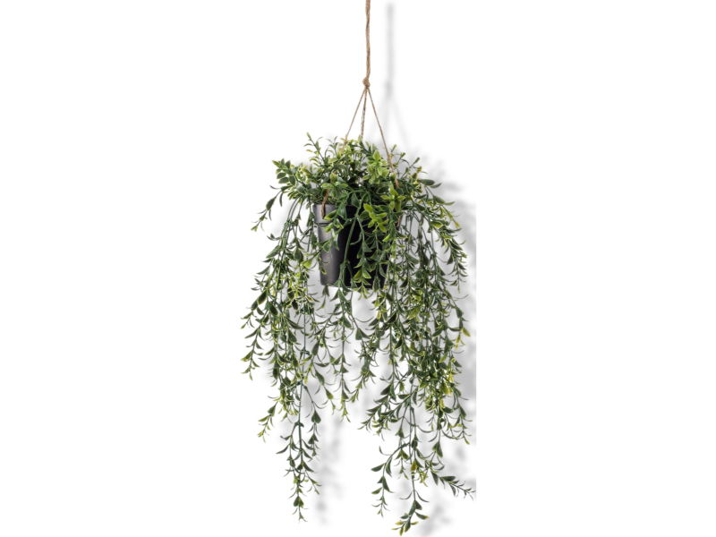 https://cdn.warentuin.nl/media/catalog/product/S/C/SCAN8714344264883_01_driesprong_collection_zijdeplant_hangplant_m_430e.jpg