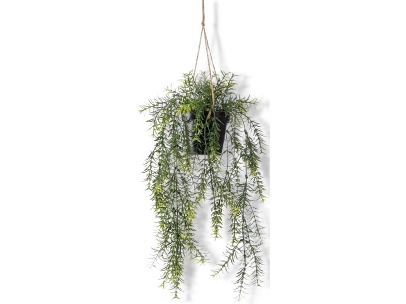 https://cdn.warentuin.nl/media/catalog/product/S/C/SCAN8714344264890_01_driesprong_collection_zijdeplant_hangplant_m_5657.jpg