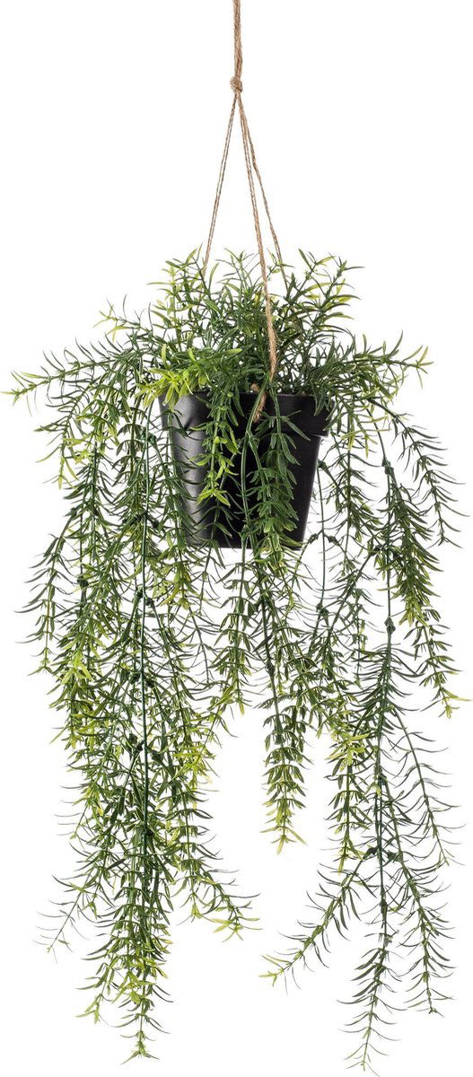 Hangplant met pot 3 Driesprong Collection