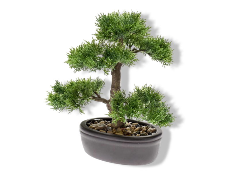 https://cdn.warentuin.nl/media/catalog/product/S/C/SCAN8714344265170_01_driesprong_collection_zijdeplant_bonsai_ceda_d414.jpg