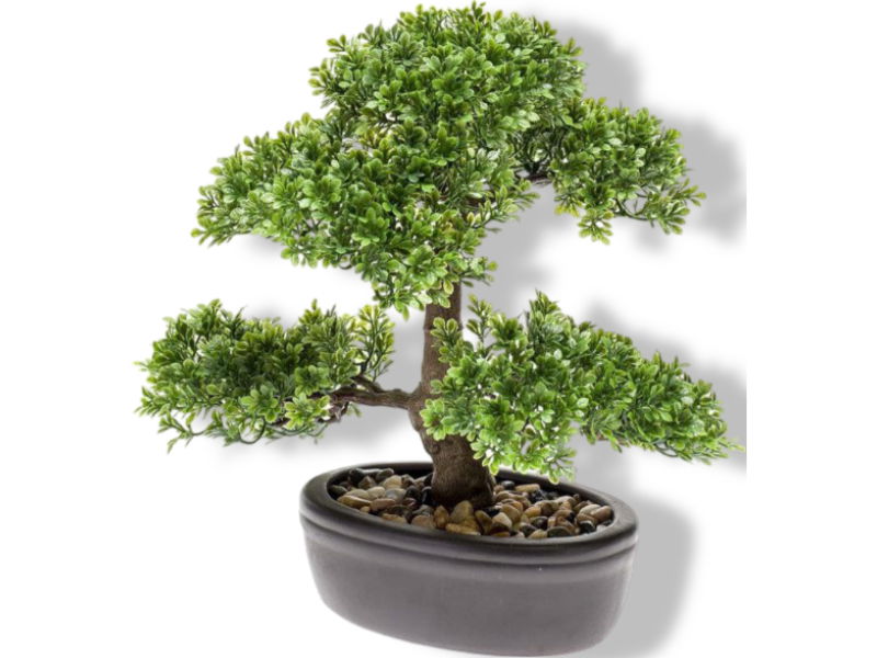 https://cdn.warentuin.nl/media/catalog/product/S/C/SCAN8714344265187_01_driesprong_collection_zijdeplant_bonsai_ficu_fc5f.jpg