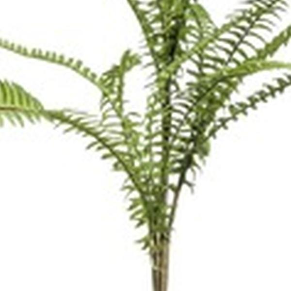 https://cdn.warentuin.nl/media/catalog/product/S/C/SCAN8714344267174_01_emerald_eternal_green_b_v_fern_boston_mix_spray_60_cm_8b0d.jpg