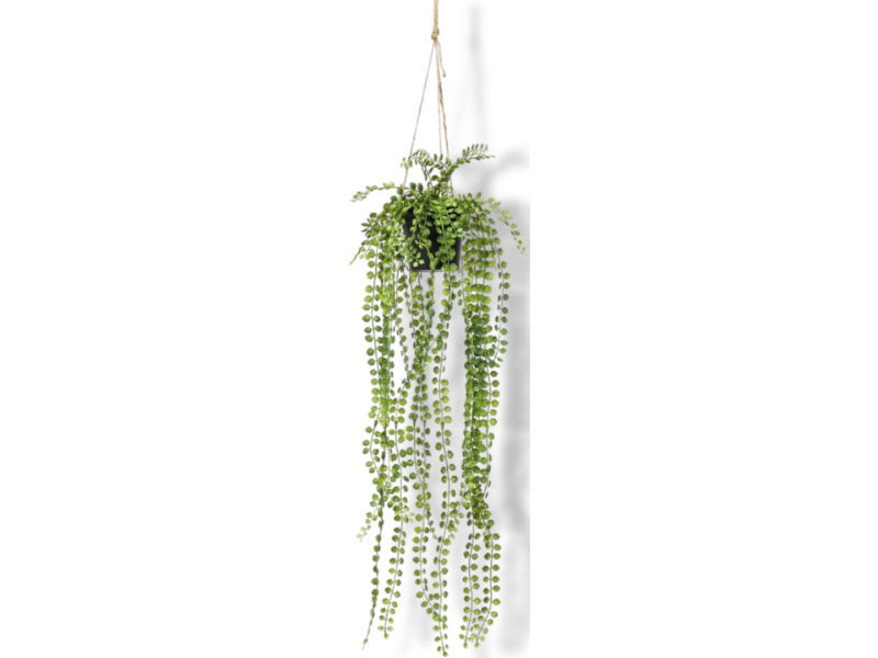 https://cdn.warentuin.nl/media/catalog/product/S/C/SCAN8714344273649_01_driesprong_collection_zijdeplant_hangplant_m_3734.jpg