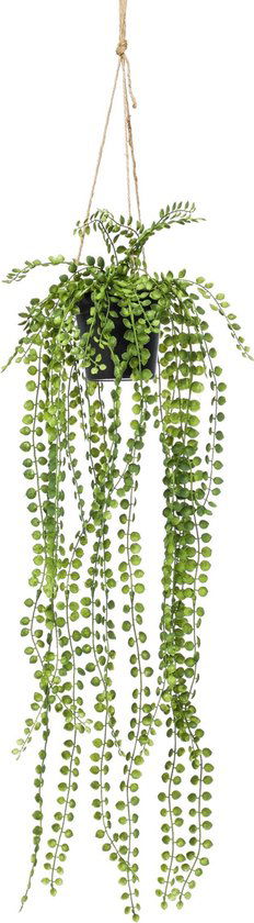 Hangplant met pot 4 Driesprong Collection