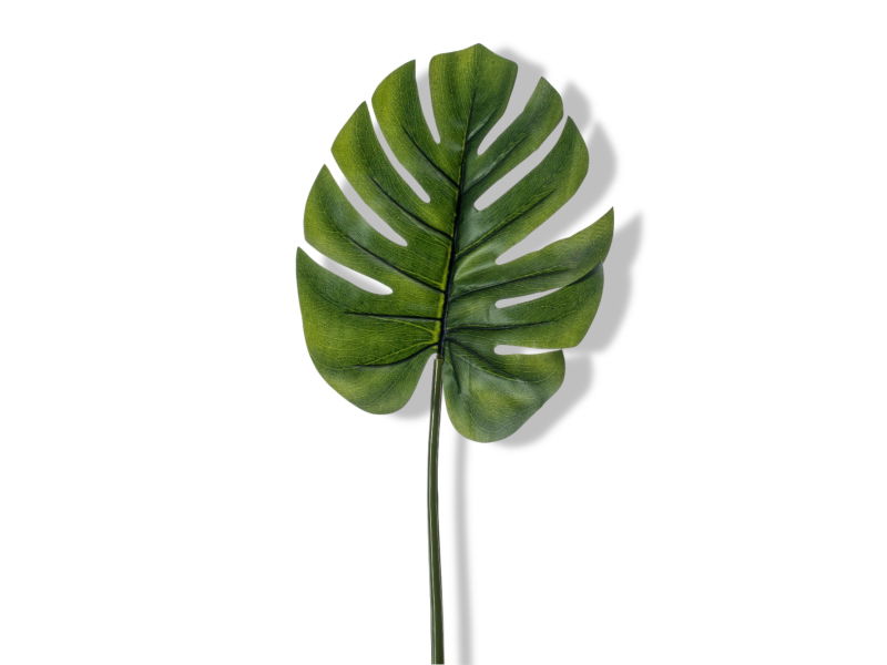 https://cdn.warentuin.nl/media/catalog/product/S/C/SCAN8714344288803_01_emerald_monstera_blad_73_cm_kunstbloem_zijde_5c2e.jpg