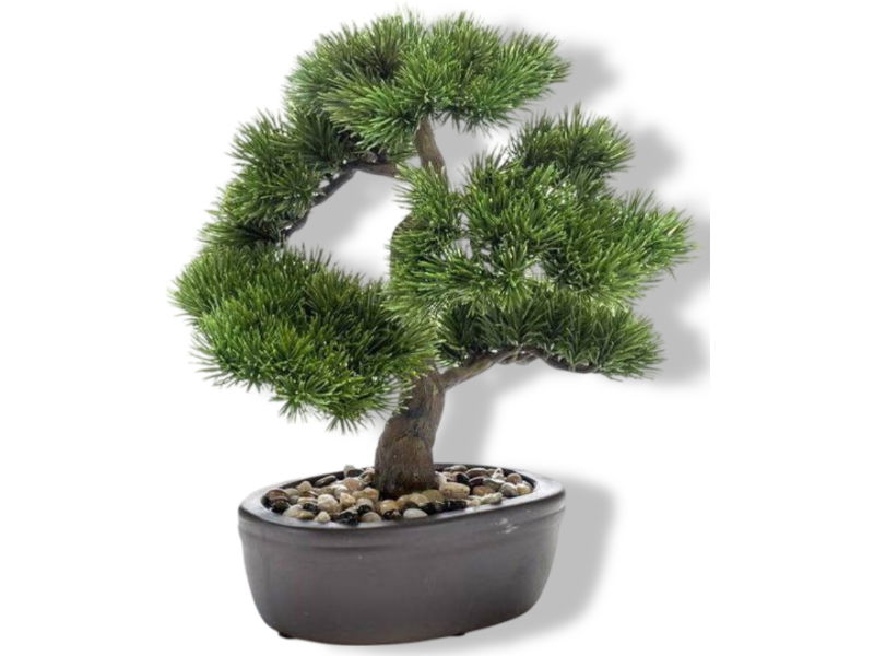 https://cdn.warentuin.nl/media/catalog/product/S/C/SCAN8714344289596_01_driesprong_collection_zijdeplant_bonsai_pinu_8320.jpg