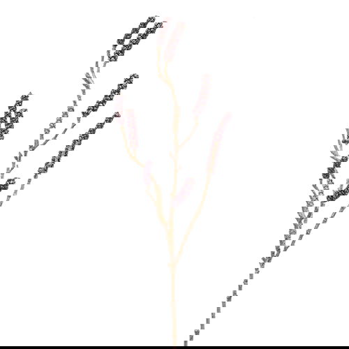 https://cdn.warentuin.nl/media/catalog/product/S/C/SCAN8714344293814_emerald_kunstbloem_callistemon_branch_burgundy_85_cm_b10c.jpg