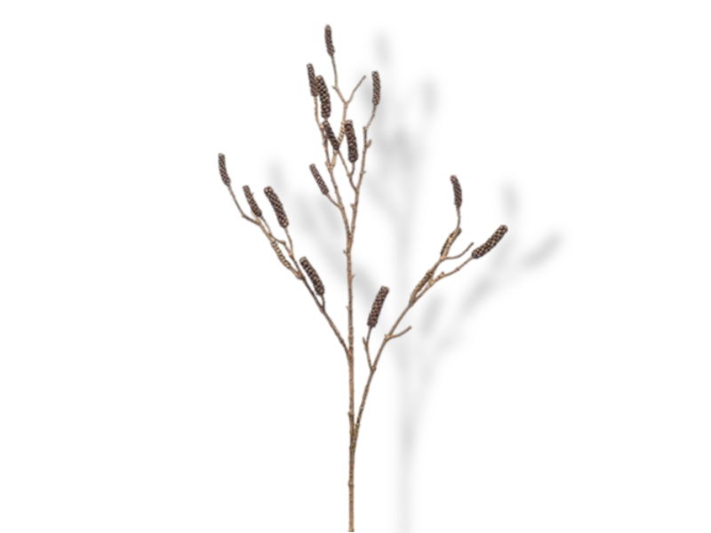 https://cdn.warentuin.nl/media/catalog/product/S/C/SCAN8714344293852_01_emerald_callistemon_branch_brown_118_cm_kuns_71f0.jpg