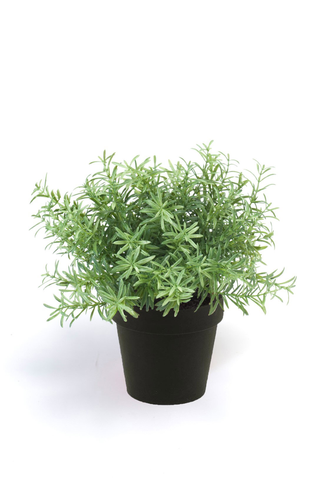 Rosemary bush 20 cm lt green in black kunstplant Emerald - Emerald