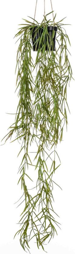 https://cdn.warentuin.nl/media/catalog/product/S/C/SCAN8714344308518_emerald_zijde_planten_hoya_hanging_80_cm_in_pot_f49b.jpg