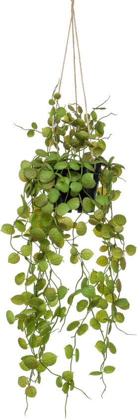 https://cdn.warentuin.nl/media/catalog/product/S/C/SCAN8714344308532_emerald_zijde_planten_ceropegia_hanging_bush_50_ec8a.jpg