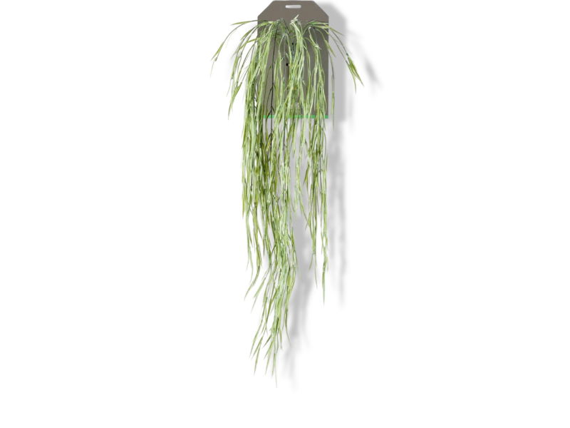 https://cdn.warentuin.nl/media/catalog/product/S/C/SCAN8714344315837_01_emerald_hoya_hanging_bush_x6_85_cm_kunstplan_16e7.jpg