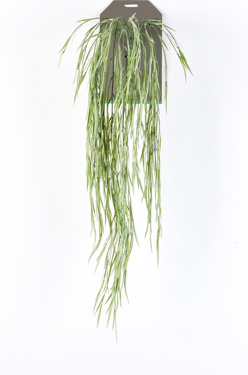 https://cdn.warentuin.nl/media/catalog/product/S/C/SCAN8714344315837_zijde_droog_en_hobbymaterialen_hoya_hanging_bus_1474.jpg