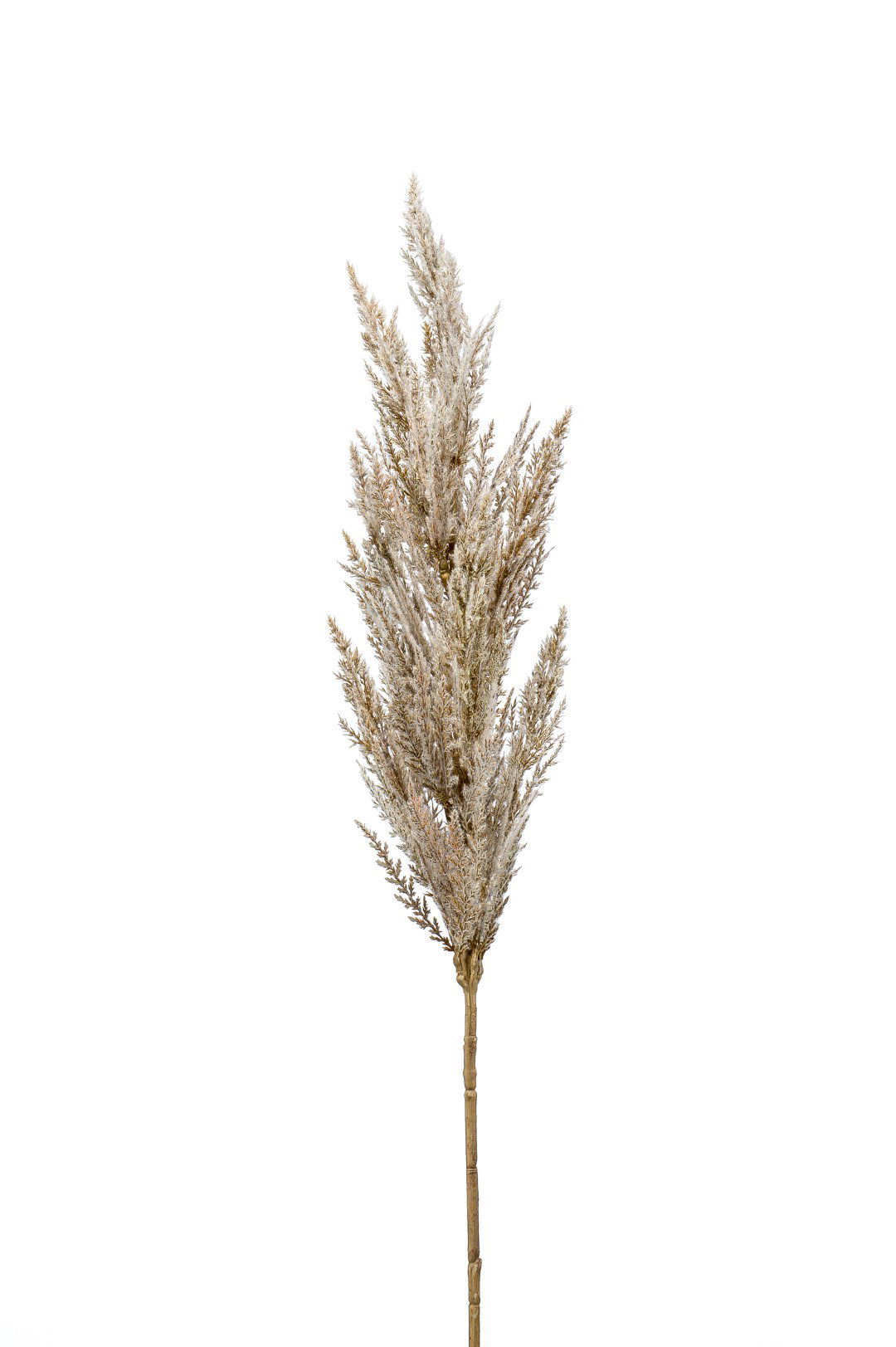 https://cdn.warentuin.nl/media/catalog/product/S/C/SCAN8714344324129_pampas_grass_spray_cream_92_cm_kunstplant_emerald_ad74.JPG
