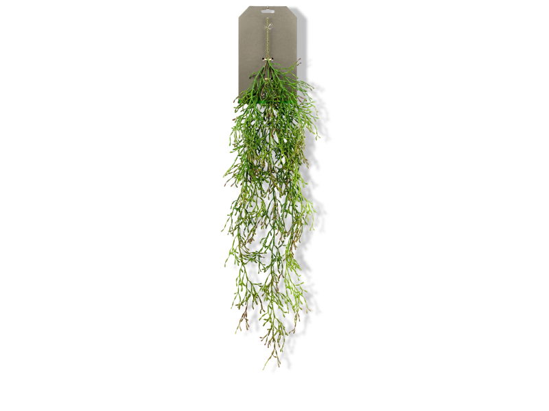https://cdn.warentuin.nl/media/catalog/product/S/C/SCAN8714344329933_01_driesprong_collection_zijdeplant_hangplant_o_ed1d.jpg