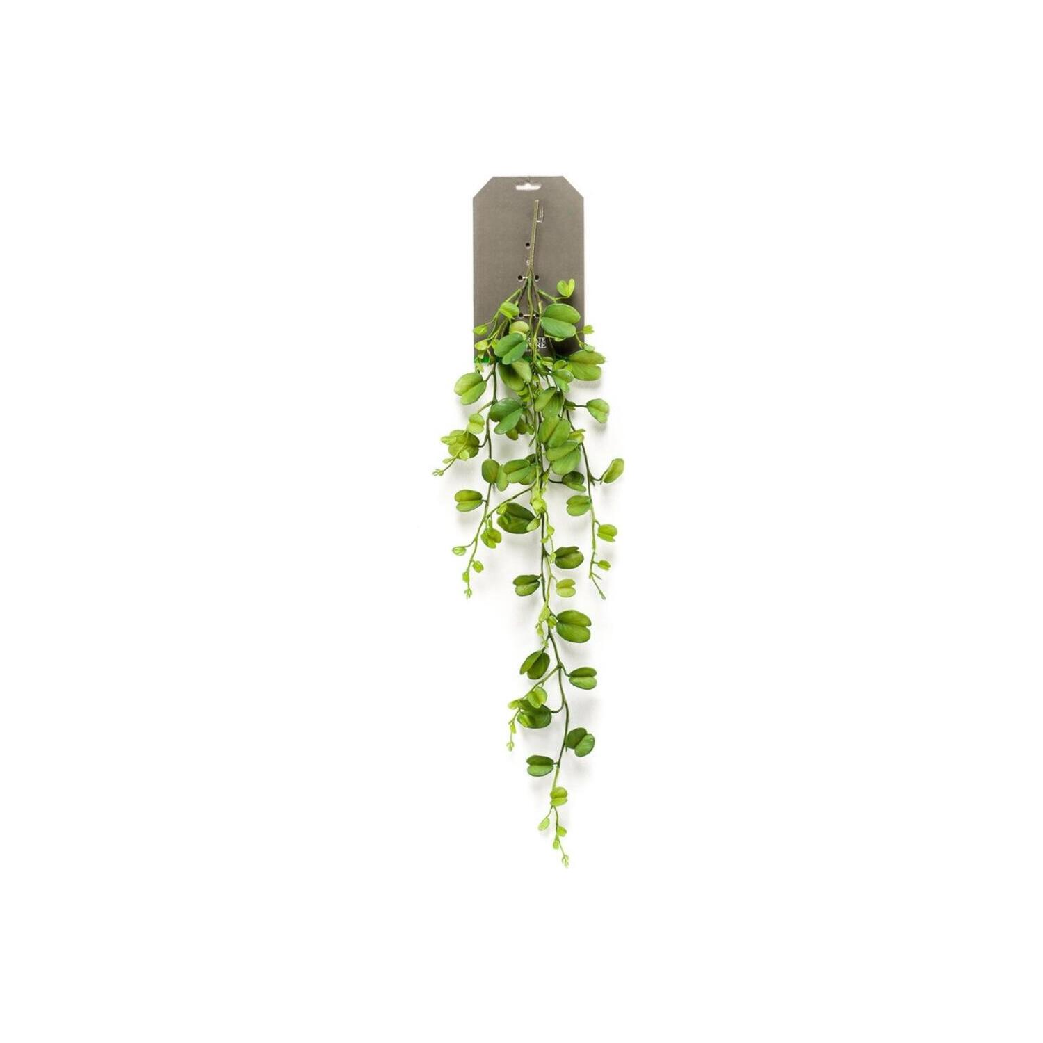 https://cdn.warentuin.nl/media/catalog/product/S/C/SCAN8714344329940_zijde_droog_en_hobbymaterialen_hoya_kerrii_vine_2fd6.jpg
