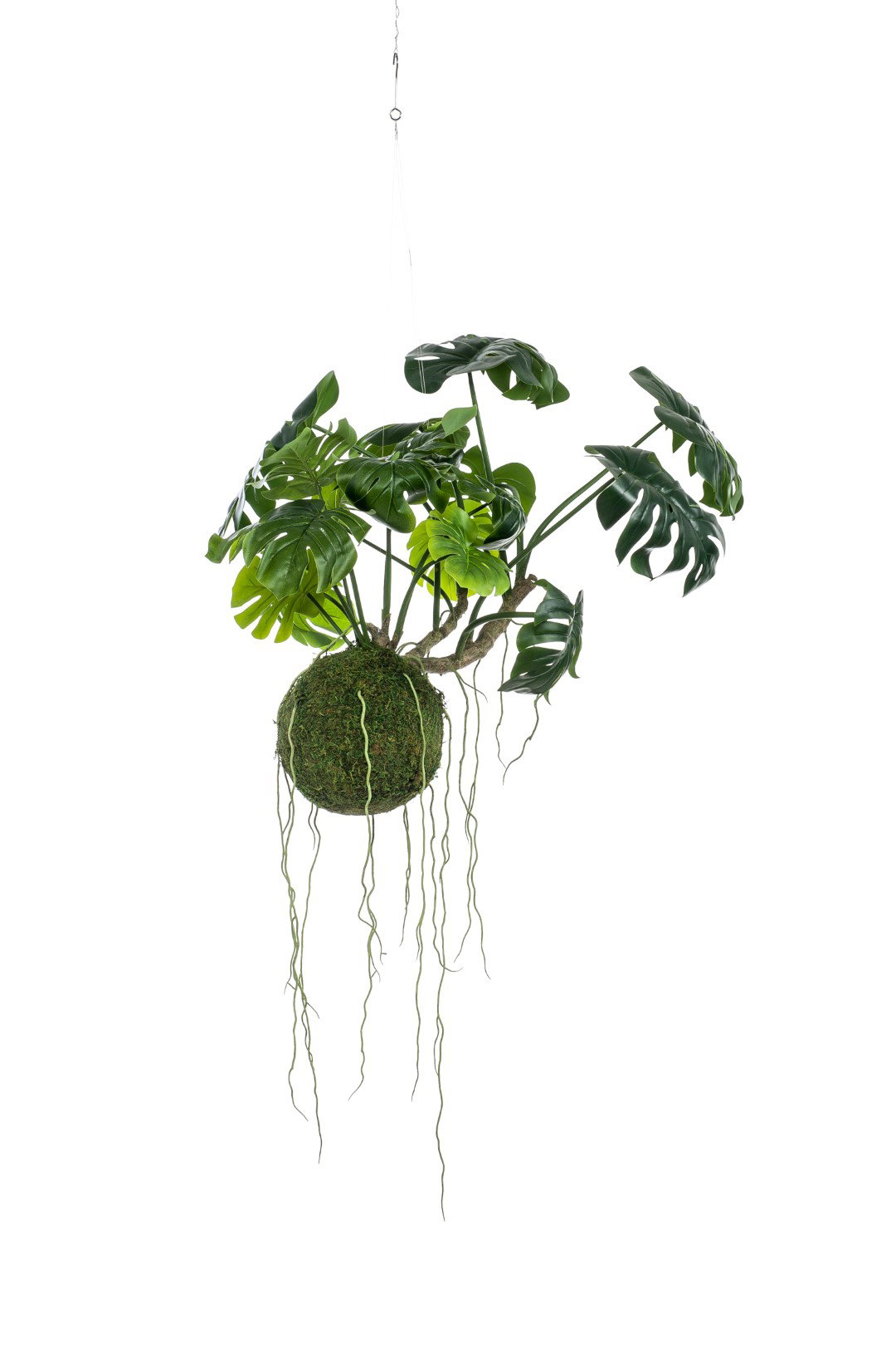 https://cdn.warentuin.nl/media/catalog/product/S/C/SCAN8714344340044_monstera_moss_ball_hanging_60_cm_kunstplant_emerald_6f84.JPG