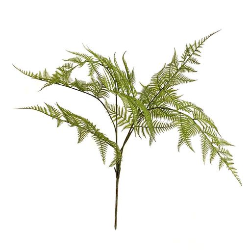 https://cdn.warentuin.nl/media/catalog/product/S/C/SCAN8714344347524_emerald_eternal_green_b_v_fern_garden_bush_x7_green_65_cm_b5e4.jpg