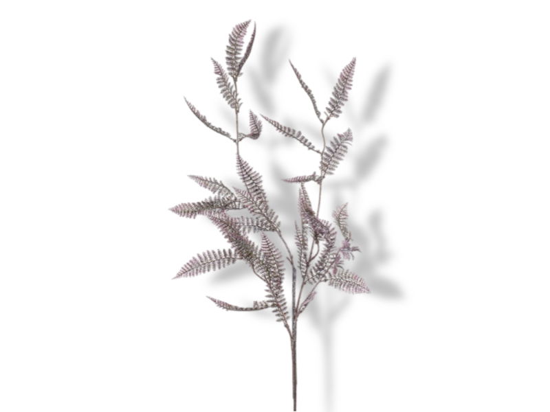 https://cdn.warentuin.nl/media/catalog/product/S/C/SCAN8714344359749_01_hortus_kunstbloem_kunsttak_fern_purple_95_cm_b46a.jpg