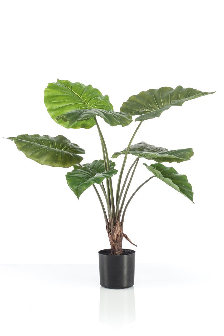 Alocasia plant in pot 70 cm kunstplant Emerald - Emerald
