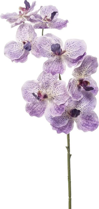 Vanda spray rt lt purple 77 cm kunstbloem zijde nepbloem - Emerald