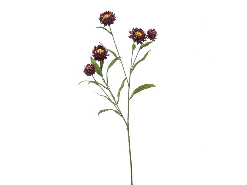 Fleurdirect Kunstbloem Xerochrysum Spray - Polyester Mix - Paars - 0 x 70 x 0 cm (BxHxD)