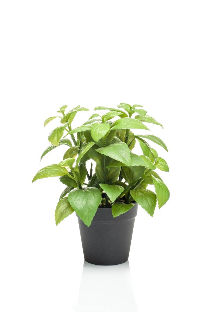 Basil in black pot 23 cm kunstplant Emerald - Emerald
