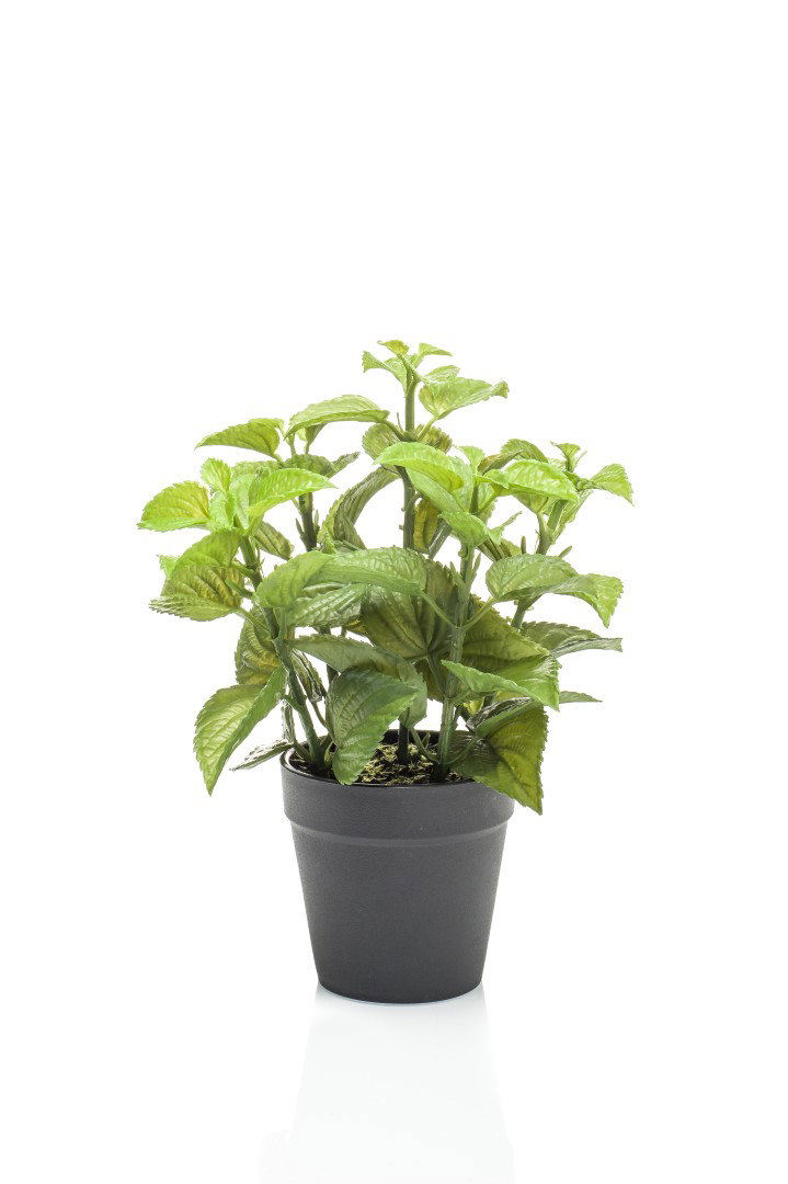 Mint in black pot 23 cm kunstplant Emerald - Emerald