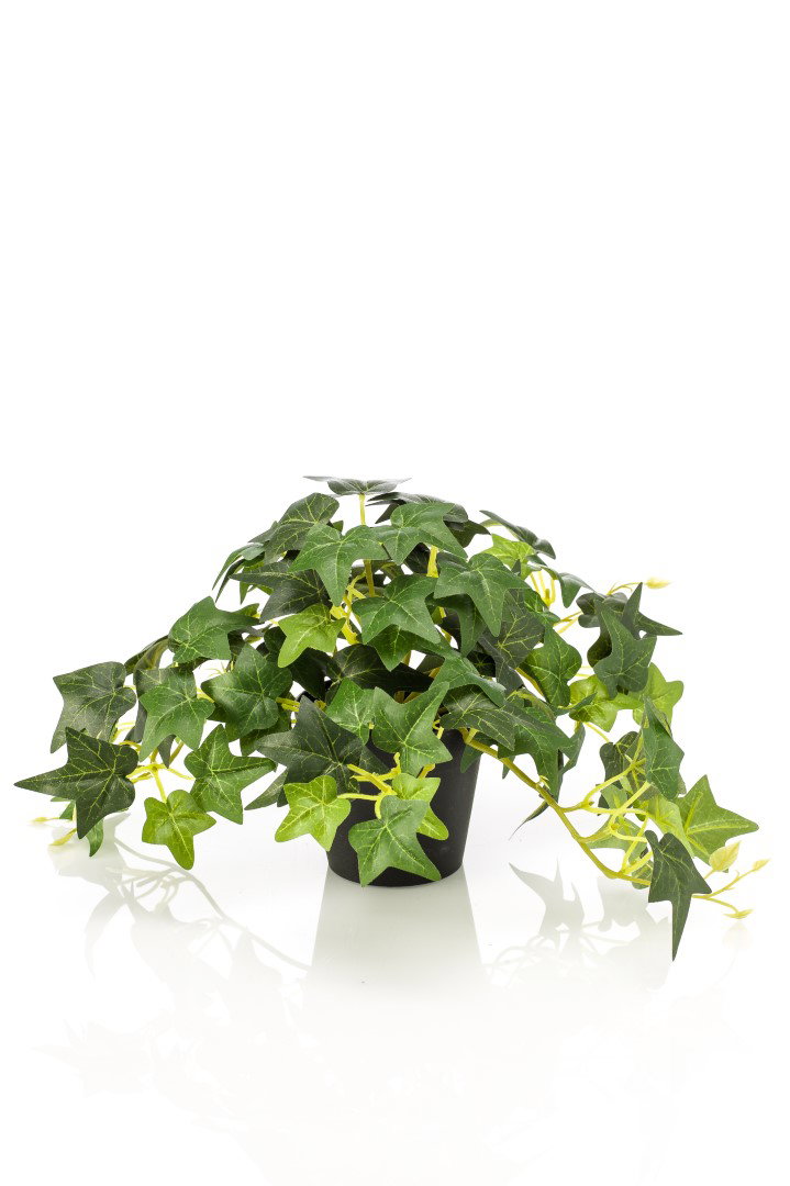 https://cdn.warentuin.nl/media/catalog/product/S/C/SCAN8714344393002_hedera_green_in_pot_19_cm_kunstplant_emerald_282b.JPG
